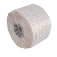 Ti-Strapping (1 red line)